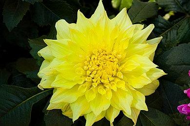 动视表示并不害怕外挂制作者分析新反作弊系统